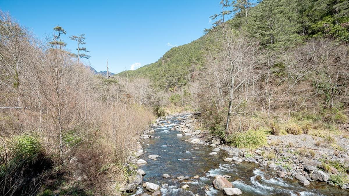 武陵農場「觀魚臺」是人氣打卡景點。（圖片來源：桃桃‘s旅人手札）