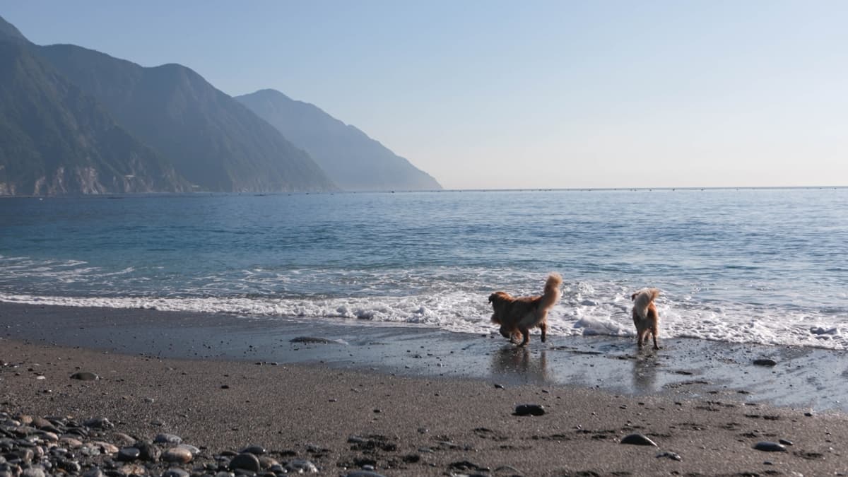 從大門口走出來就能抵達崇德海灘，可以遙望清水斷崖美景。（圖片來源：洛基小聿媽）