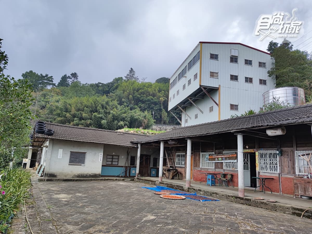嵩岳咖啡海拔為1200公尺。