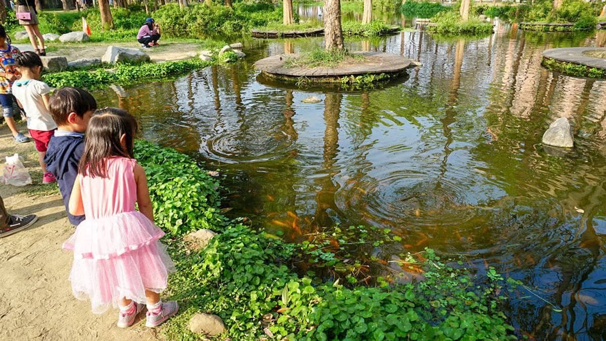 小朋友最愛去魚池餵魚。（圖片來源：野田咩的美食書國）