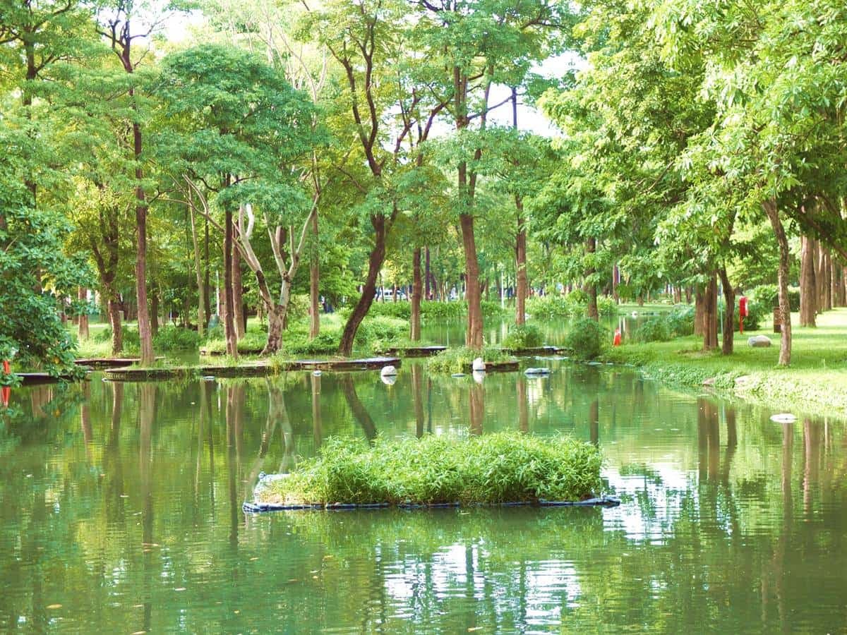 高雄最美公園!鳳山版「忘憂森林」出捷運就到,9公頃「綠色仙境」IG必打卡 高雄最美公園!鳳山版「忘憂森林」出捷運就到,9公頃「綠色仙境」IG必打卡