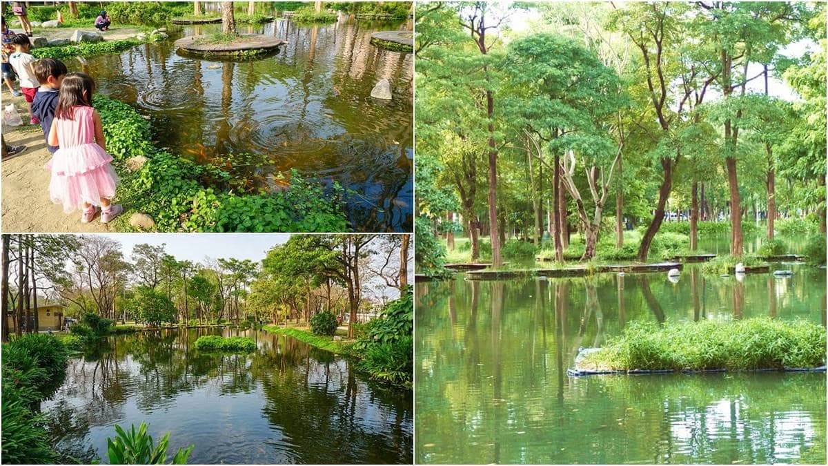 高雄最美公園！鳳山版「忘憂森林」出捷運就到，９公頃「綠色仙境」IG必打卡