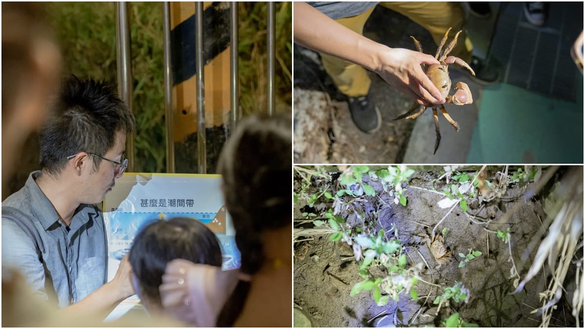 【新開店】高美濕地也能露營!免搭帳住粉嫩蓮花帳,吃晚餐再賞全台最美夕照 【新開店】高美濕地也能露營!免搭帳住粉嫩蓮花帳,吃晚餐再賞全台最美夕照