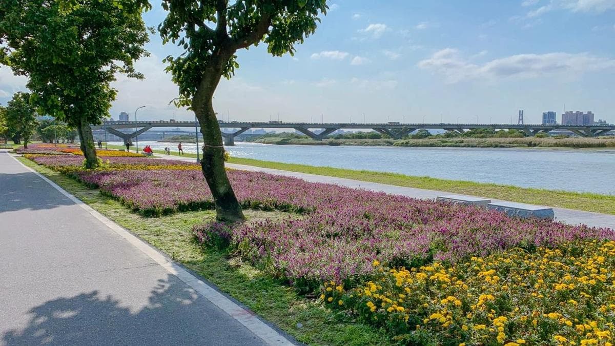 延平河濱公園的花海沿著河畔步道排列。（圖片來源：凱的食尚日記）
