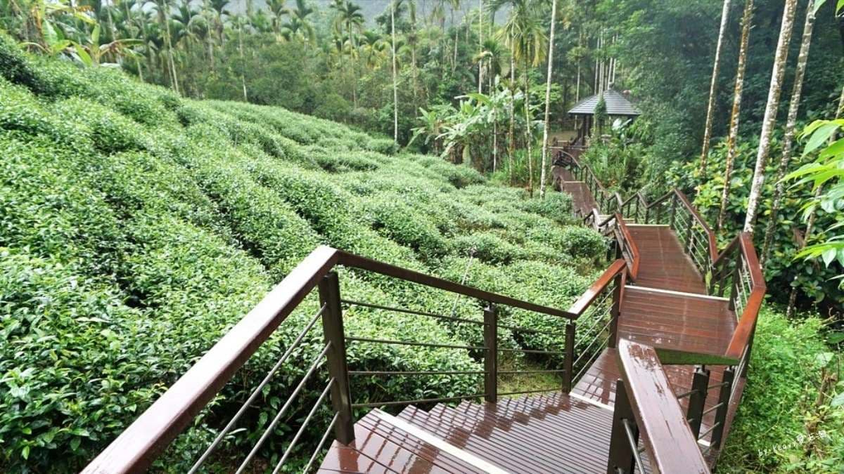 綿延不絕的木棧道，一旁有茶園及涼亭的加持。（圖片來源：Keavy愛七淘）
