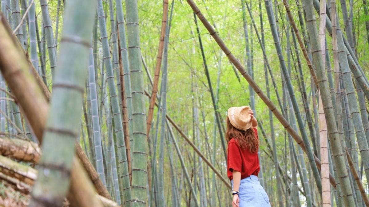 眼前景觀遼闊，瑞峰群山、茶園梯田歷歷在目。（圖片來源：熱血玩台南。跳躍新世界）
