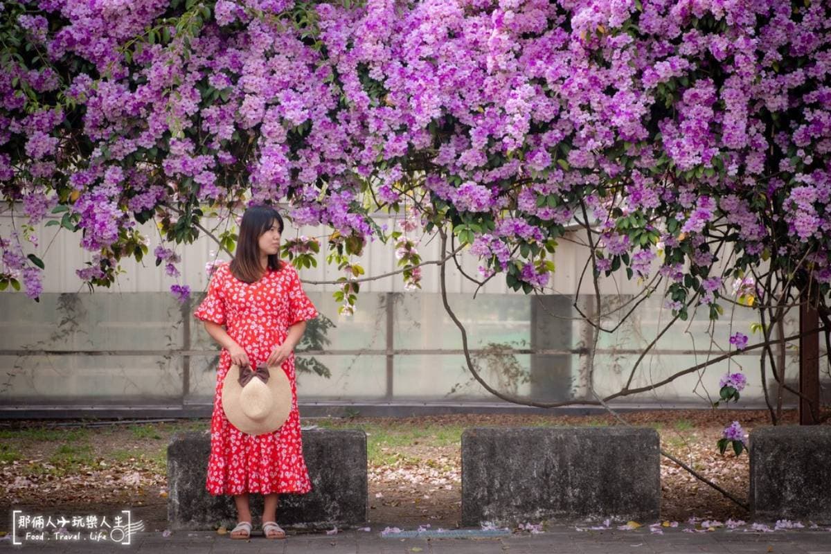神還原《天外奇蹟》氣球小屋！洗版IG「網美公園」在雲林，再搶拍九重葛祕境