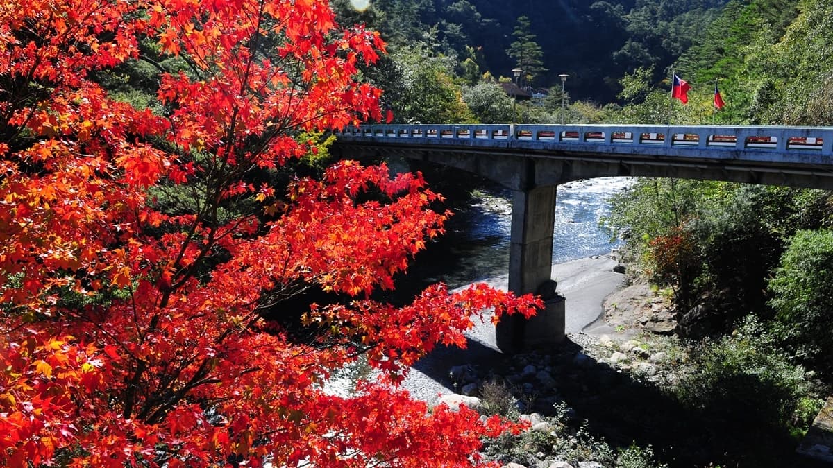 「武陵富野渡假村」在武陵農場的制高點，是超夯的賞楓打卡點。（圖片來源：晶華國際酒店集團）