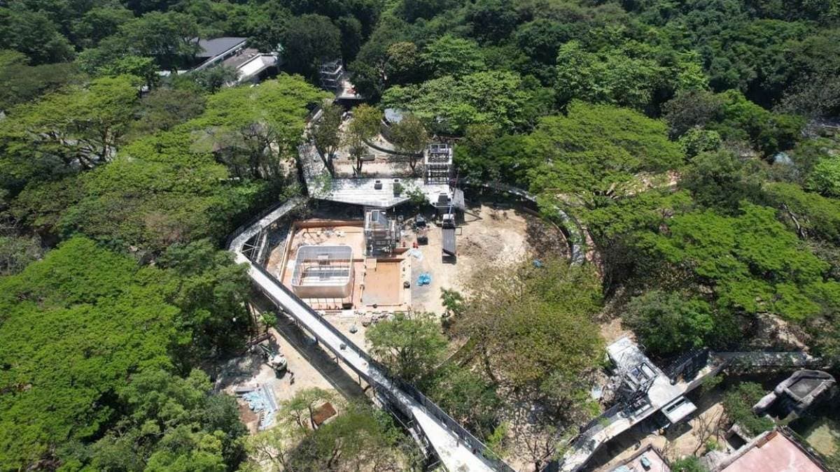 12歲以下免費入園！壽山動物園今起試營運，快衝全新空中廊道、鐵籠咖啡廳