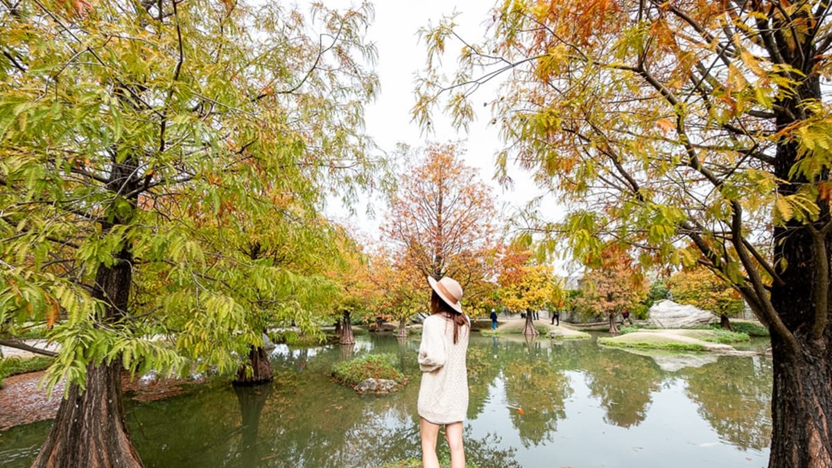 在林蔭間隨處隨手一拍，都是美美的。（圖片來源：桃桃's旅人手札）