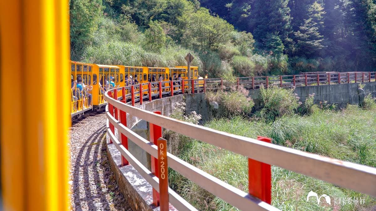 沿途可以欣賞原始森林景致。（圖片來源：卡夫卡愛旅行）