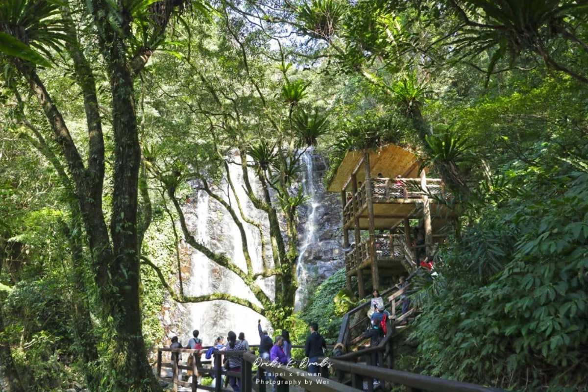 不要只逛老街啦！三峽６大私房祕境：10分鐘攻頂、絕美茶園、仙氣爆棚瀑布