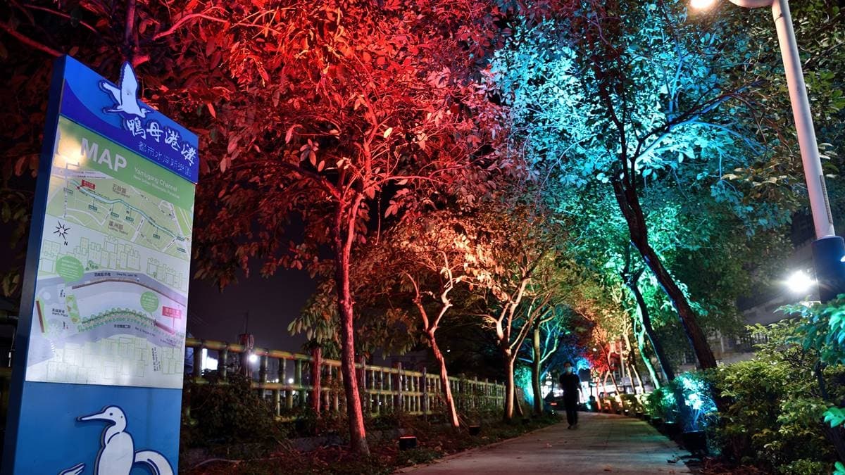 樹叢經LED燈飾點綴下變得五顏六色，讓人宛如漫步在日本夜櫻林間步道。（圖片提供：新北市政府水利局）