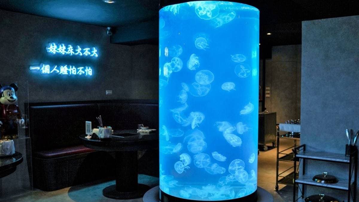 店家耗資百萬打造，最大的特色就是擁有南臺灣首座位於餐廳內的水母牆。（圖片來源：跟著尼力吃喝玩樂）
