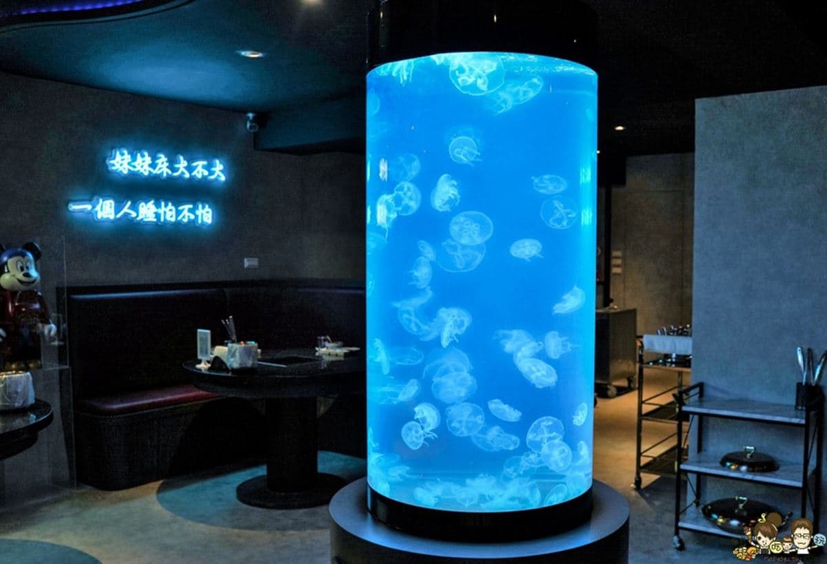 免衝水族館擠人！超低調「火鍋界Xpark」藏夢幻水母牆，爽嗑爆量蛤蜊、A5和牛