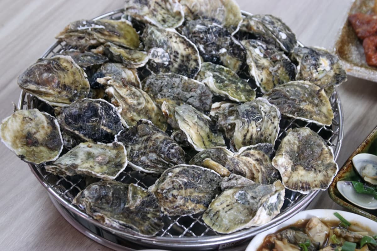 【新開店】首創全蚵料理！養蚵場「隱藏吃到飽」僅399元，再享開幕８折優惠