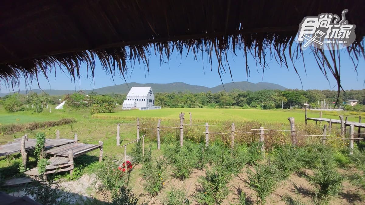 半露天的咖啡館可眺望田野景觀。