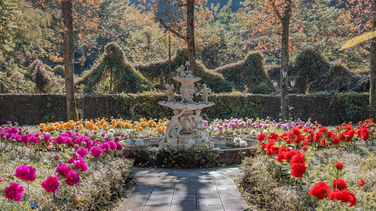 宛如置身國外的歐風花園。（圖片來源：楓樺台一渡假村）