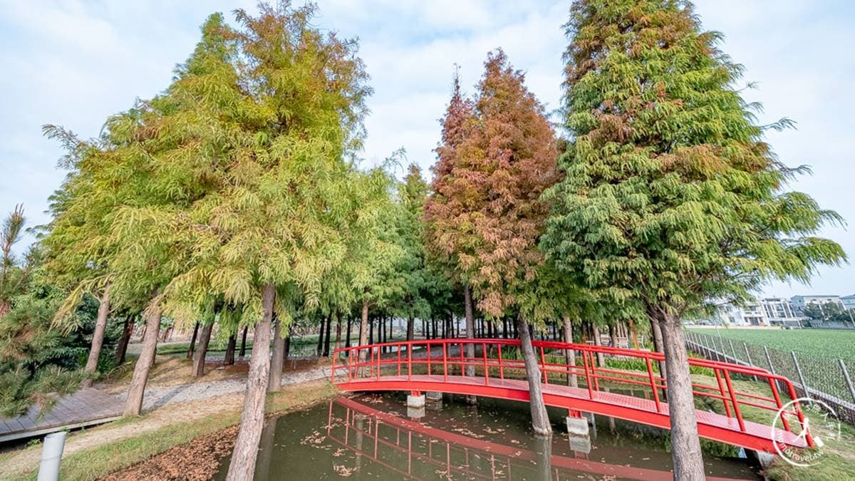 這座隱身在落羽松林深處的紅色小拱橋，可是必拍景點之一。（圖片來源：桃桃’s旅人手札）