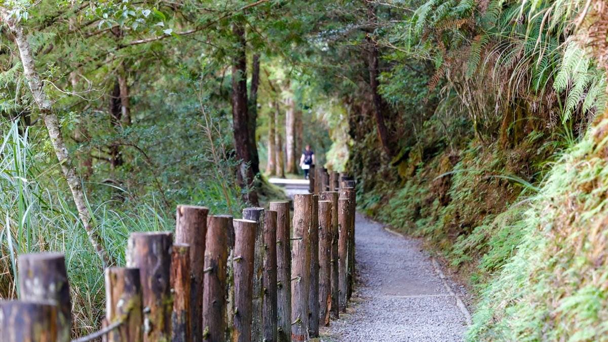 從西入口進入步道可以看到整段沿著山邊開鑿的軌道路徑。（圖片來源：卡夫卡愛旅行）