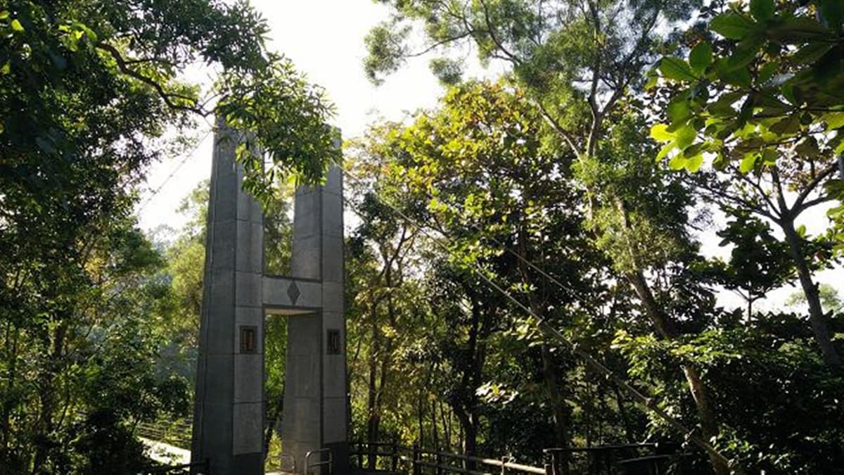 園區內有２座吊橋，一為望龍吊橋，二為２號吊橋。（圖片來源：Vicky媽媽的遊樂園）