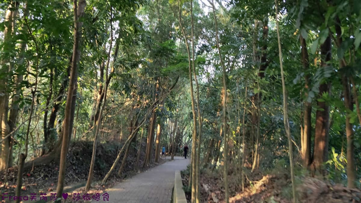 整個公園占地廣闊，規畫了完善的階梯步道和樹林。（圖片來源：Fresa芙芮莎♥莎旅憶食）