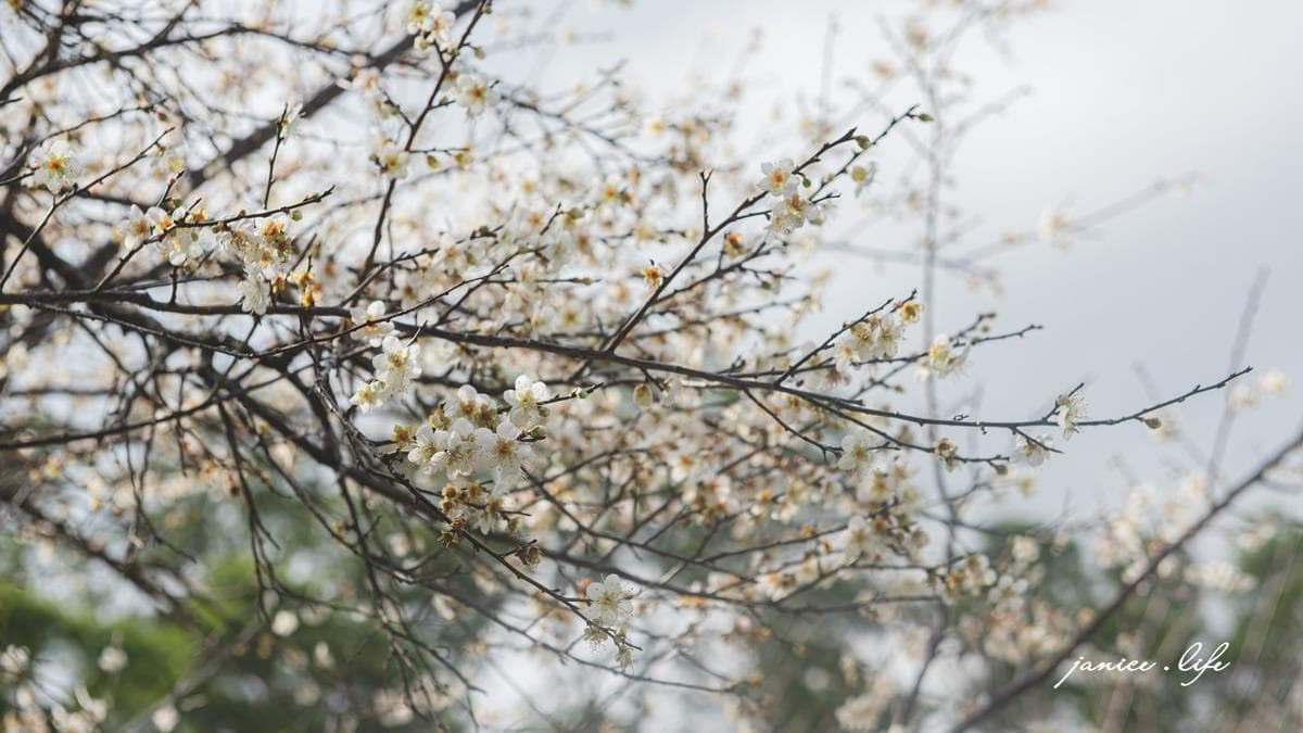角板山公園
