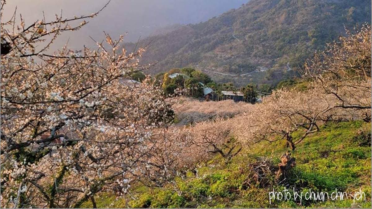 賴家古厝休閒露營區