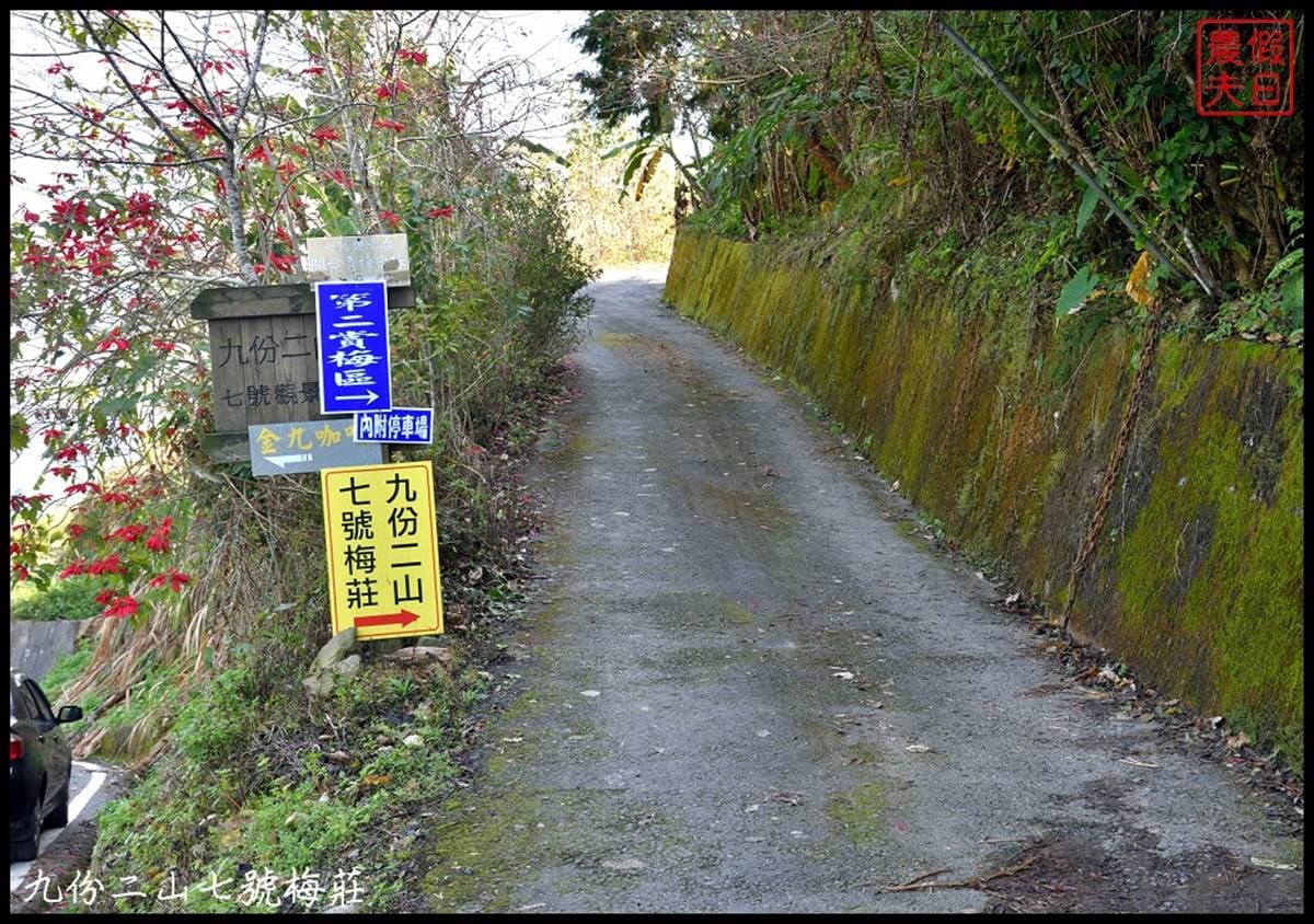 朝聖第一波「梅雪」！５處絕美賞梅仙境：占地15公頃、4000棵梅樹齊放