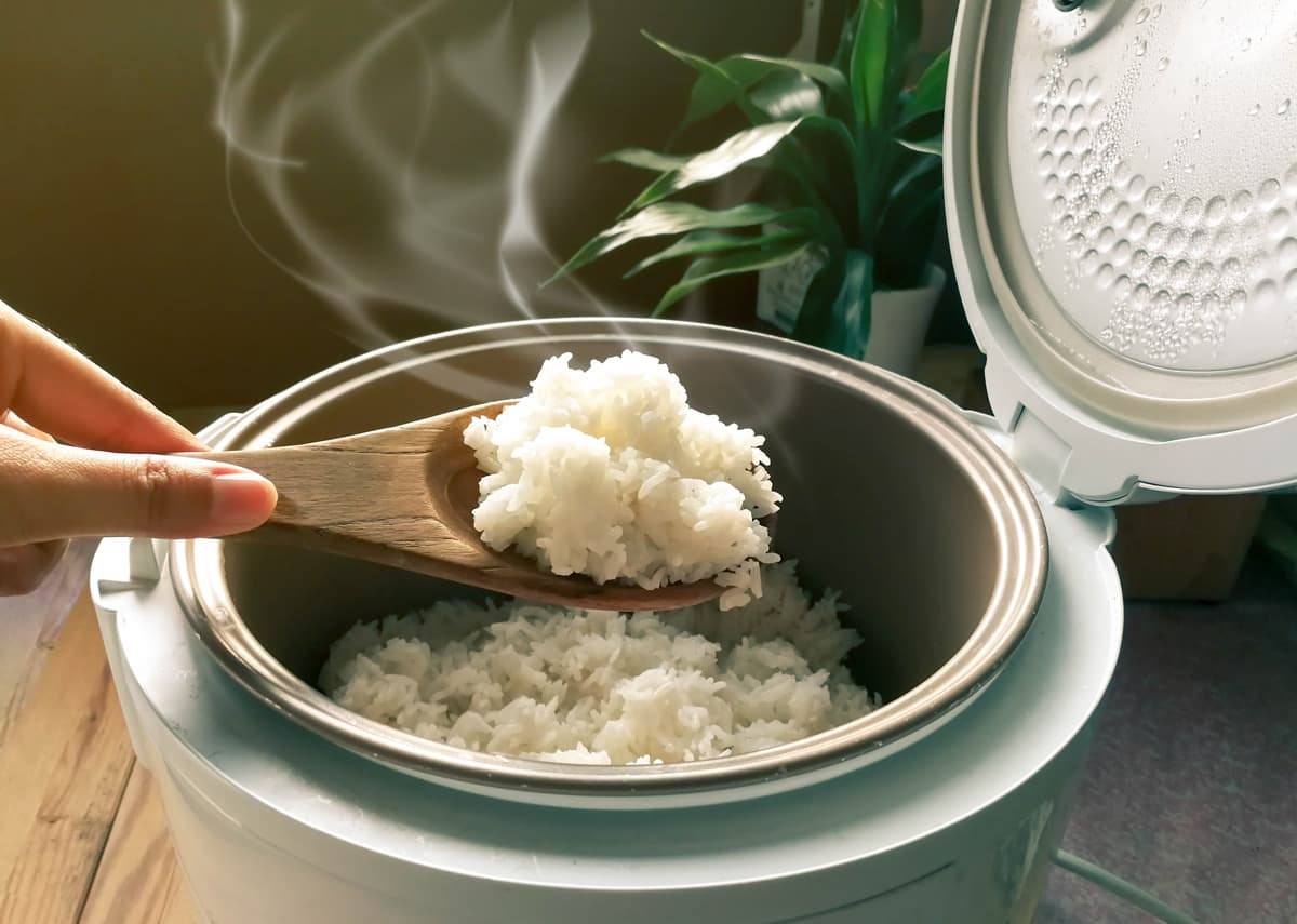 春節剩菜保鮮免煩惱!打破「常溫保存」迷思,剩飯、麵包「這樣冰」最美味 春節剩菜保鮮免煩惱!打破「常溫保存」迷思,剩飯、麵包「這樣冰」最美味