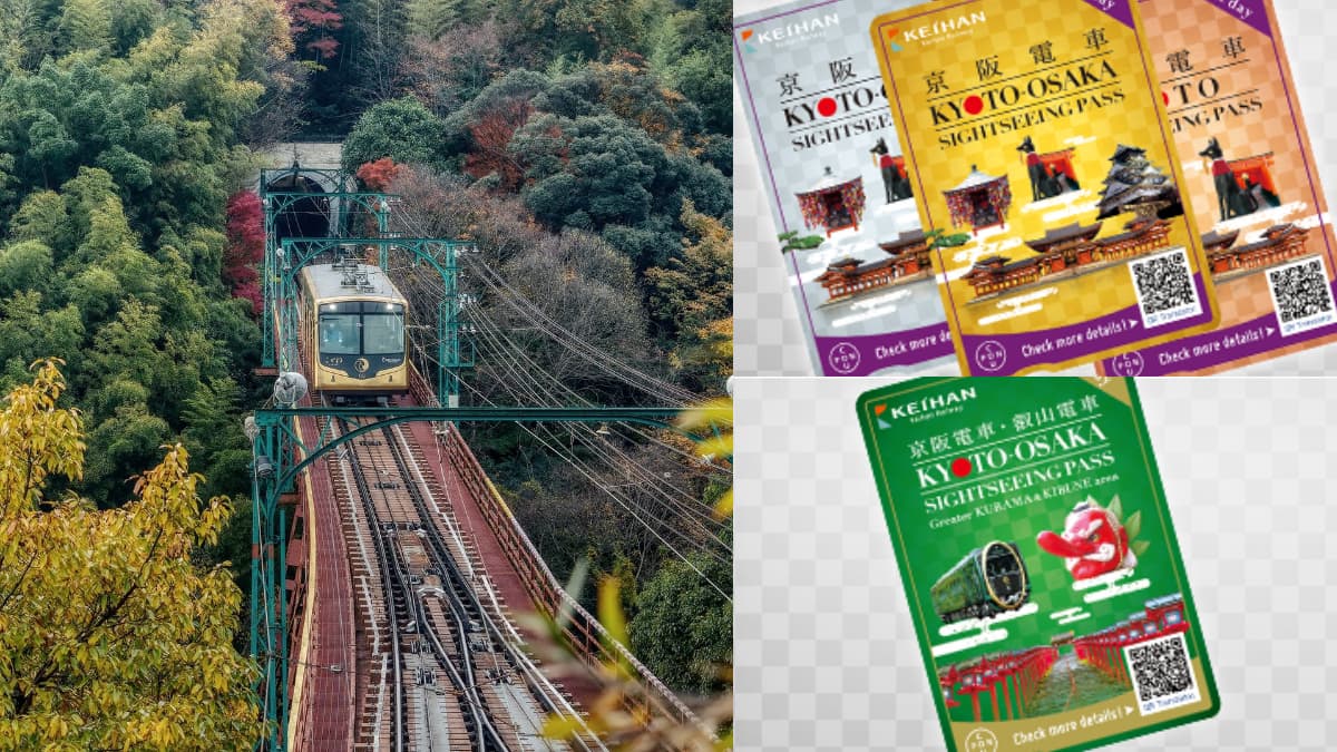 朝聖最新貓貓美術館！搭「京阪電車」玩遍２地夯點，拜完神社爽吃免費拉麵