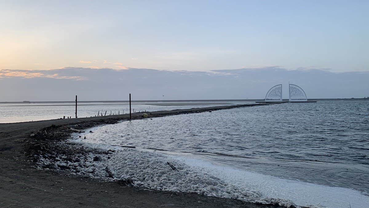 占地超過１公頃的扇鹽地景，保留既有生態鹽灘濕地。（圖片來源：台南觀光局）