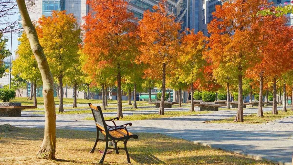 公園內設置不少休憩座椅，想休息賞景或取景拍照都適合。（圖片來源：IG@bruce570318）