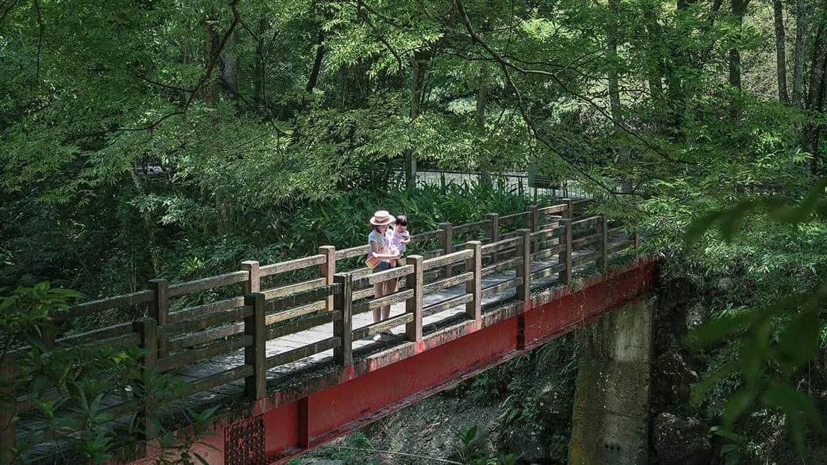 沿途可以看見小森林、清澈見底的溪流等生態美景。（圖片來源：焦糖熱一點）
