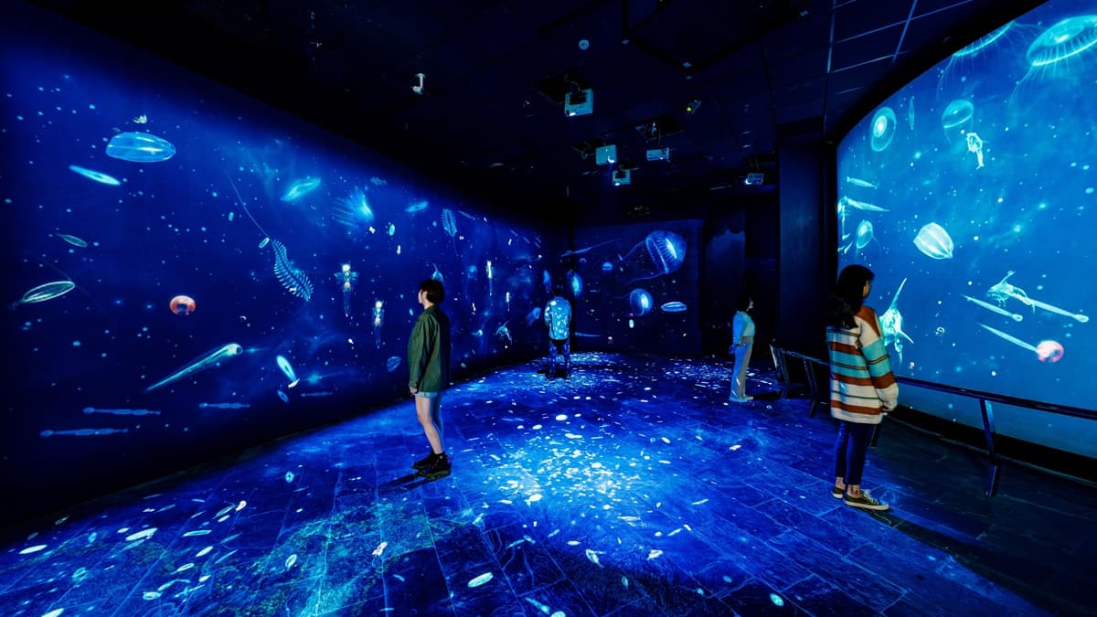 帶你潛入深海！屏東海生館全新場域「微光漂流」，浮游生物驚喜現身