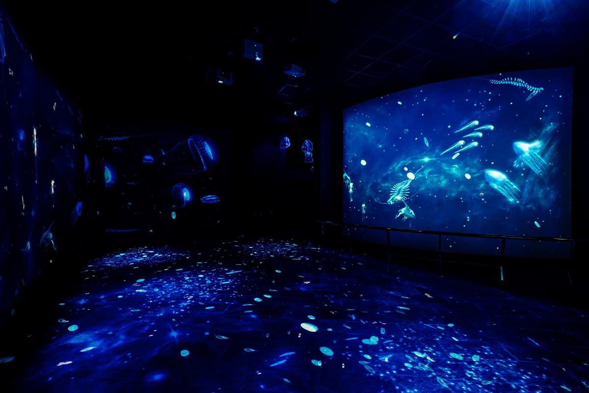 帶你潛入深海!屏東海生館全新場域「微光漂流」,浮游生物驚喜現身 帶你潛入深海!屏東海生館全新場域「微光漂流」,浮游生物驚喜現身