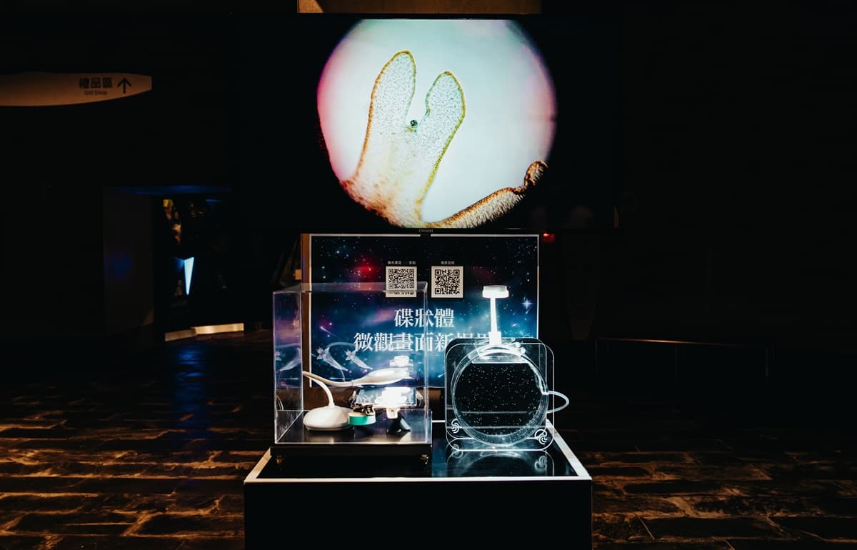 帶你潛入深海!屏東海生館全新場域「微光漂流」,浮游生物驚喜現身 帶你潛入深海!屏東海生館全新場域「微光漂流」,浮游生物驚喜現身