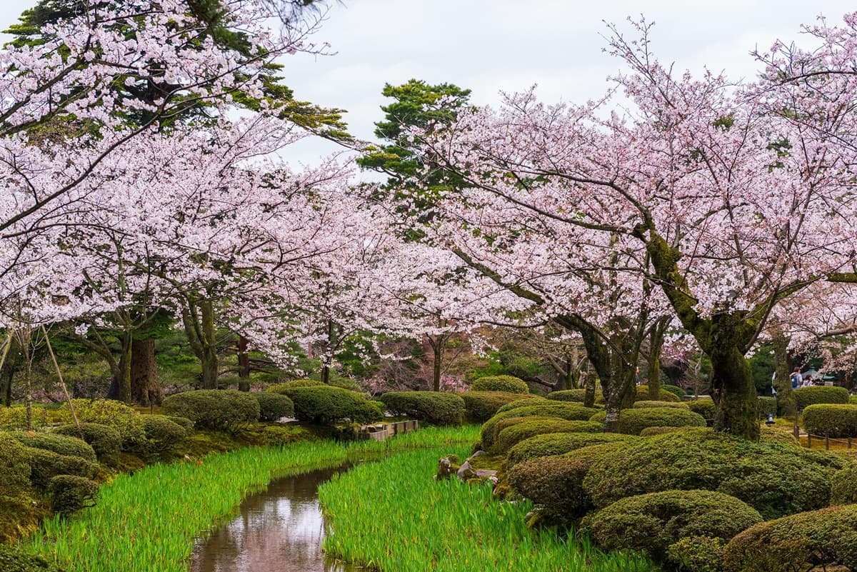 終於可以去了!「立山黑部」4/15開山,賞「壯觀雪壁」2個月季節限定 終於可以去了!「立山黑部」4/15開山,賞「壯觀雪壁」2個月季節限定