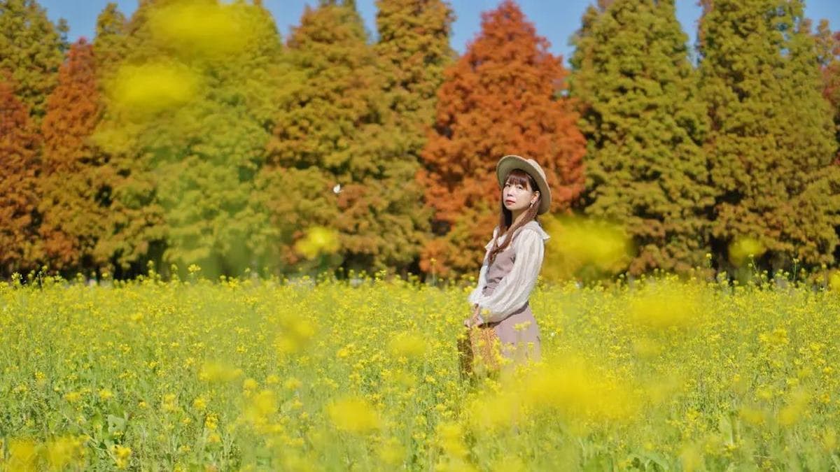 落羽松持續催紅中，適合來走春拍照。（圖片來源：IG@bruce570318）