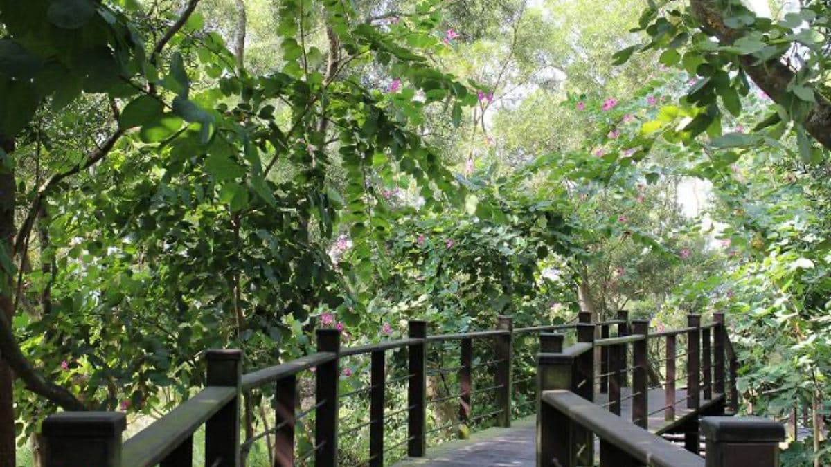 一路上有許多的花草植物。（圖片來源：Vicky媽媽的遊樂園）