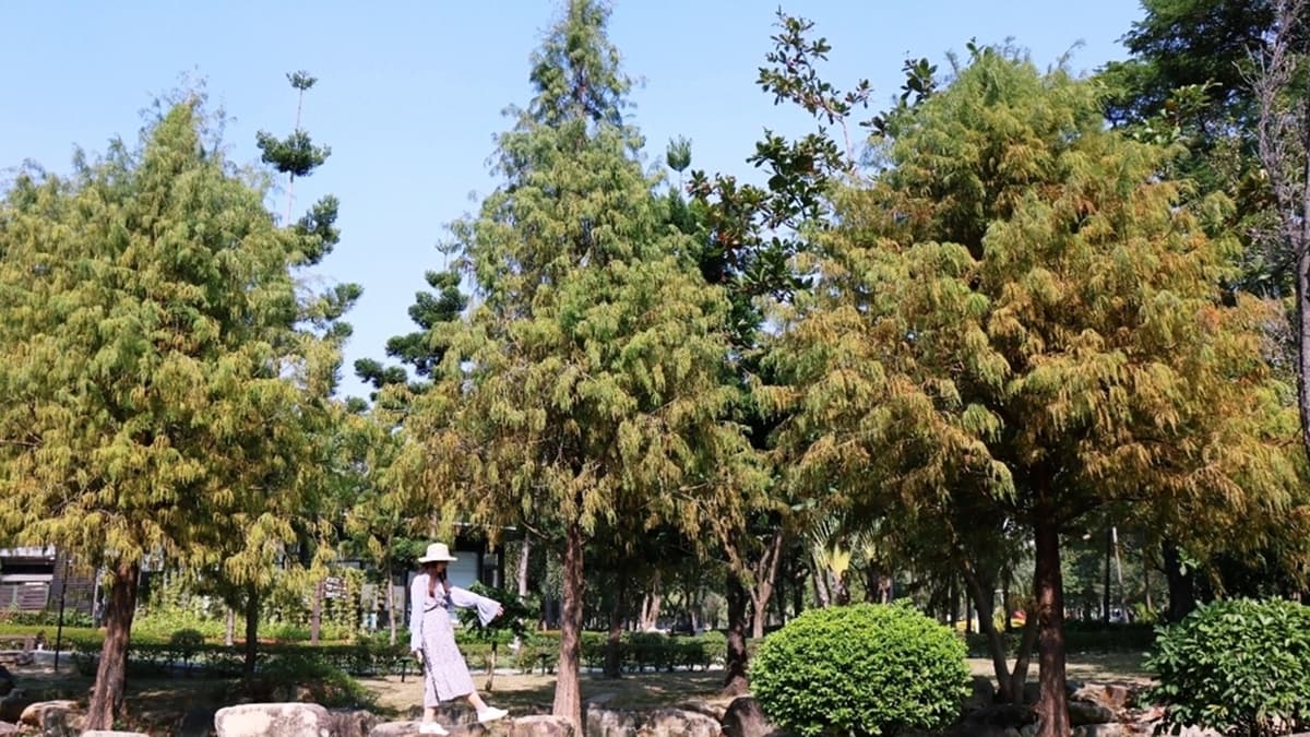如果不想拍到高樓大廈，換一個角度也可以拍出在森林中散步的感覺。（圖片來源：雙子喵玩樂旅行）