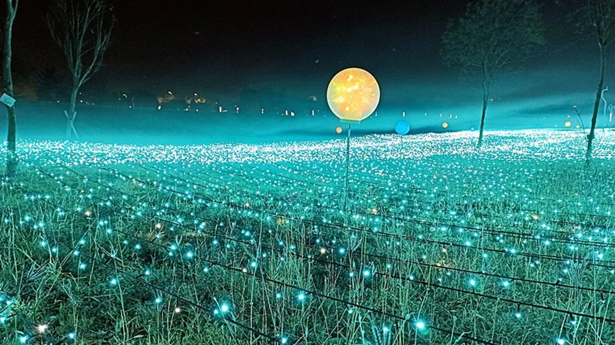 2023中台灣元宵燈會現場，滿地星光很浪漫。（圖片來源：商妮吃喝遊樂）