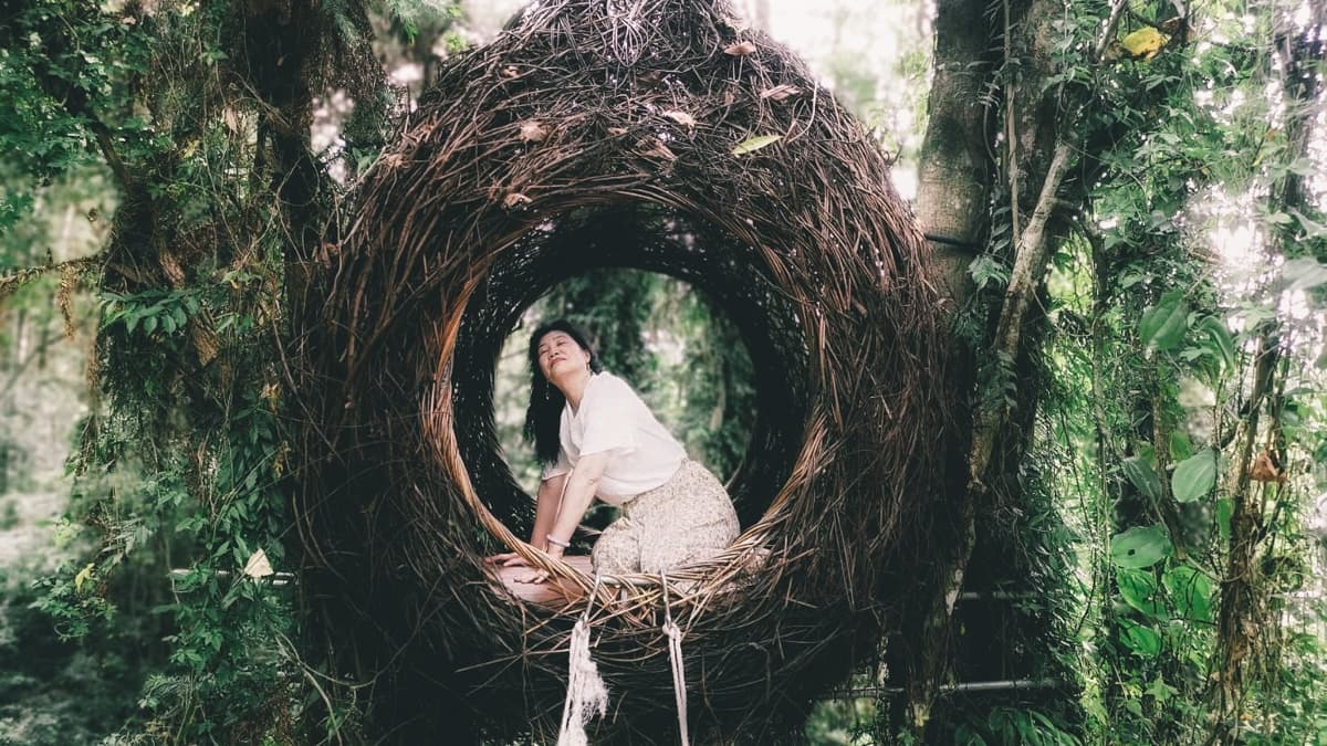 靜靜坐在吊掛在樹上的鳥巢中，沐浴山林的芬多精。（圖片來源：黑皮的旅遊筆記）