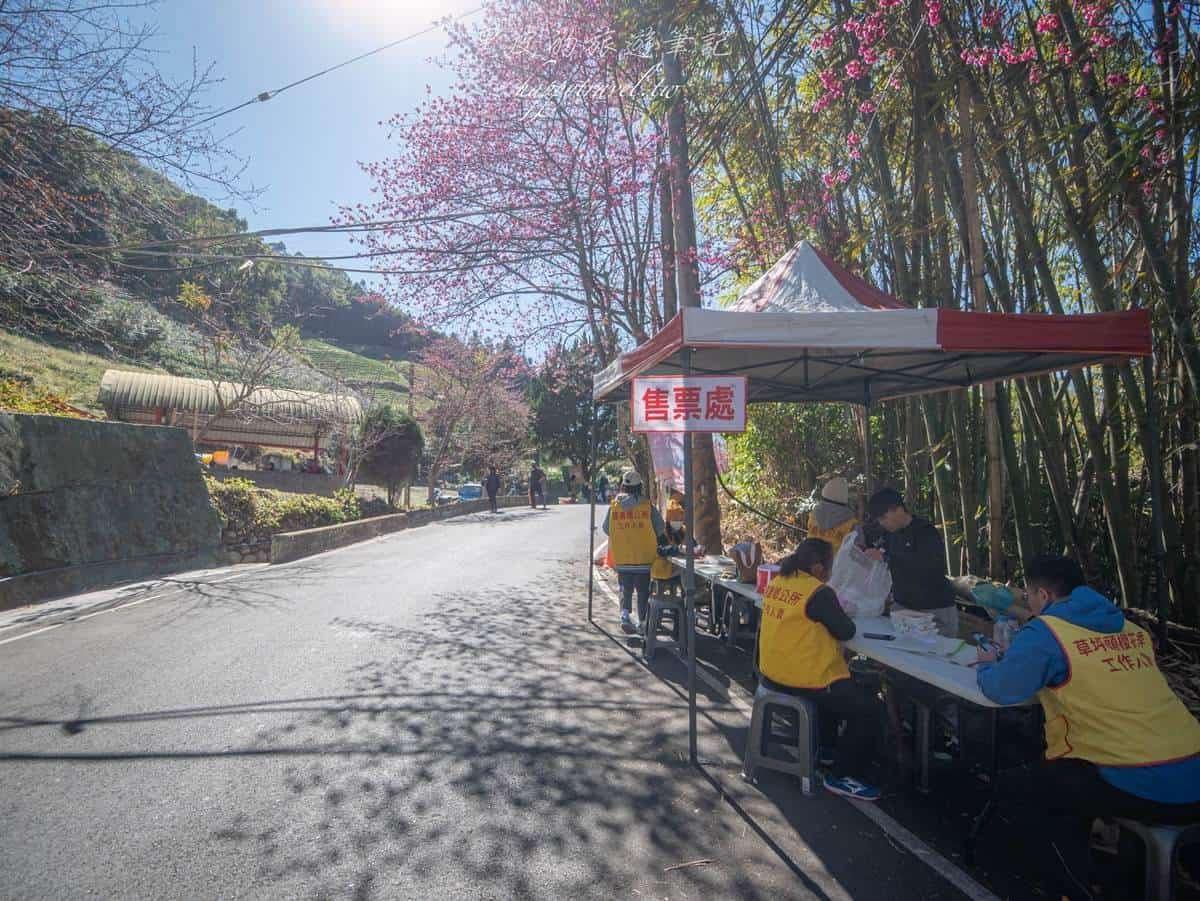 「全台最美停車場」一次賞櫻花、李花!粉嫩大爆發至2月中旬,好拍到手軟 「全台最美停車場」一次賞櫻花、李花!粉嫩大爆發至2月中旬,好拍到手軟
