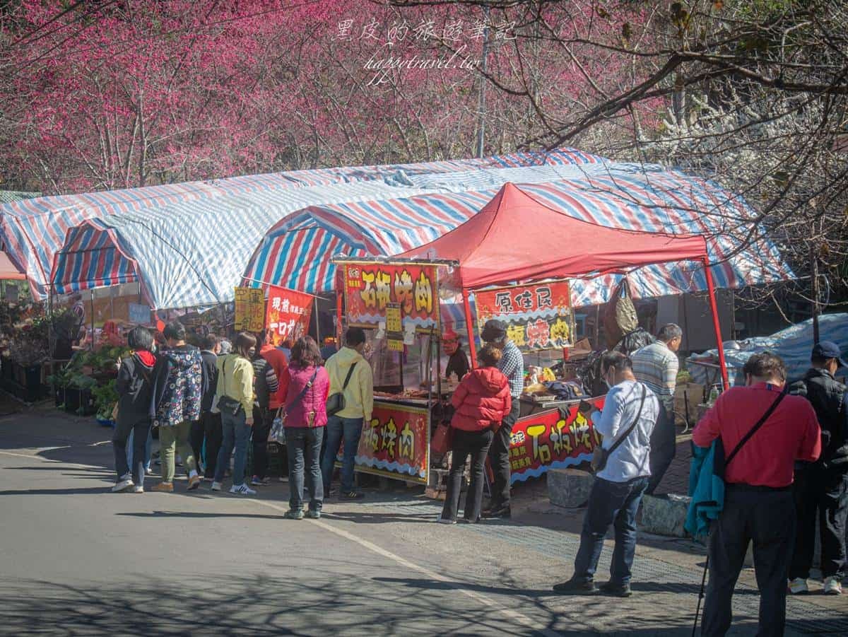 「全台最美停車場」一次賞櫻花、李花!粉嫩大爆發至2月中旬,好拍到手軟 「全台最美停車場」一次賞櫻花、李花!粉嫩大爆發至2月中旬,好拍到手軟