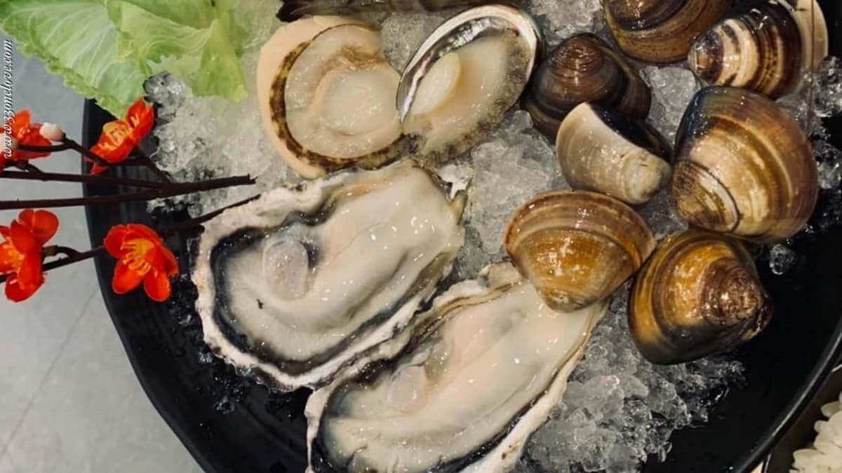 生蠔、白蝦、蛤蜊等海鮮都非常新鮮。（圖片來源：閃閃玩樂）