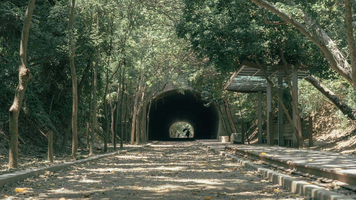 走入「崎頂子母隧道」，一同感受隧道的歷史痕跡。（圖片來源：大妹吃太飽）