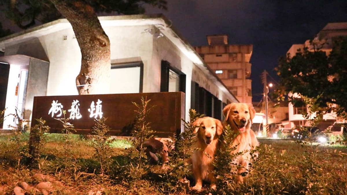 「梅蘢鎮」是由花蓮港務局舊宿舍改建。（圖片來源：洛基小聿媽）