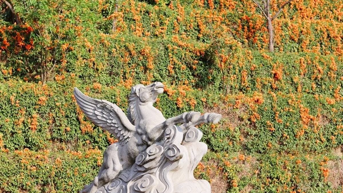 「蓮華寺」可以說是竹北的炮仗花祕境。（圖片來源：巧莉的世界流浪筆記）
