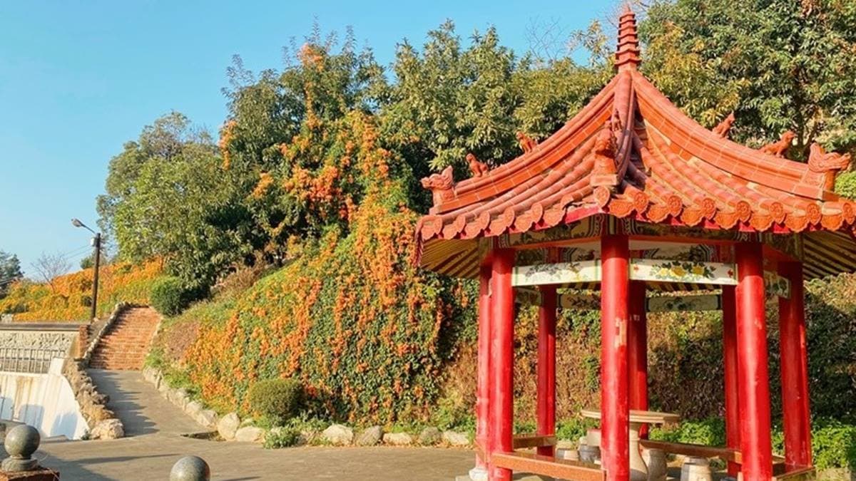 「蓮華樓」是一座兩層樓的涼亭，映著滿山頭的炮仗花瀑布，頗富詩意！（圖片來源：巧莉的世界流浪筆記）